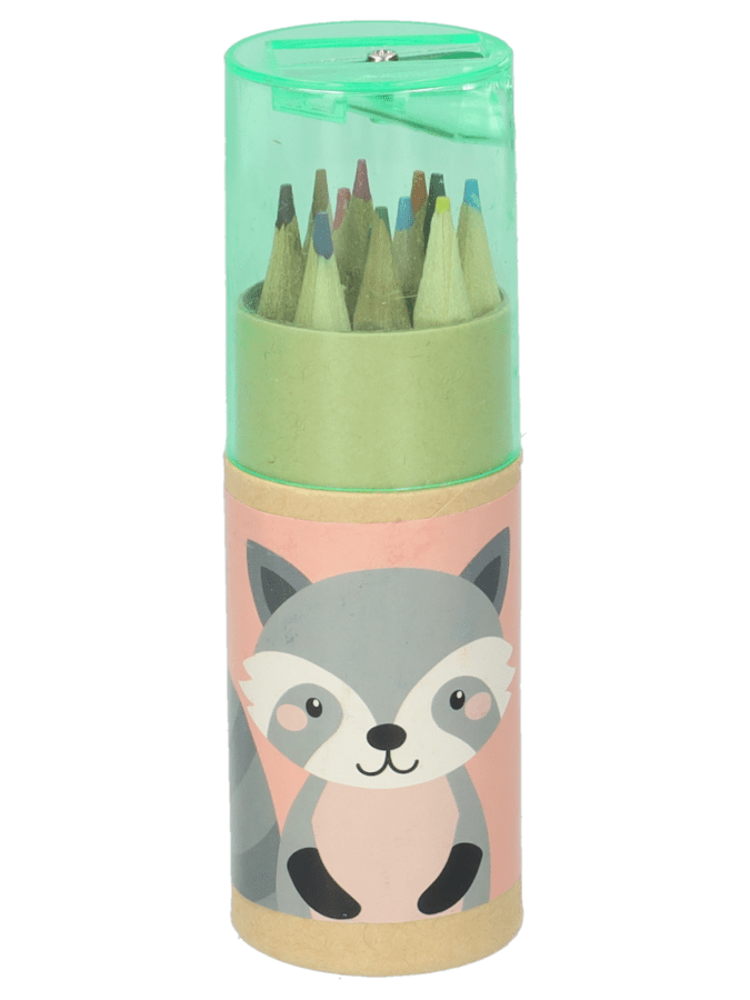 12 mini potloden koker – Variatie 2 - Wibra
