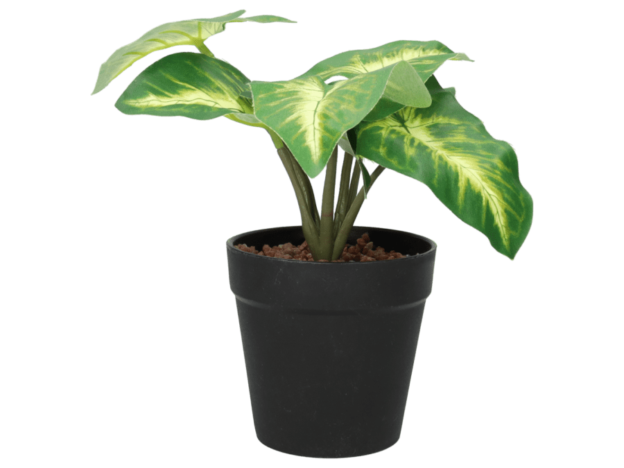 Plant pot 20 cm – groen - Wibra