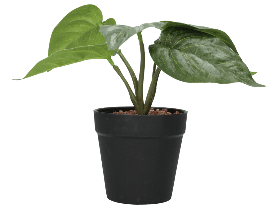 Plant pot 20 cm – green1 - Wibra