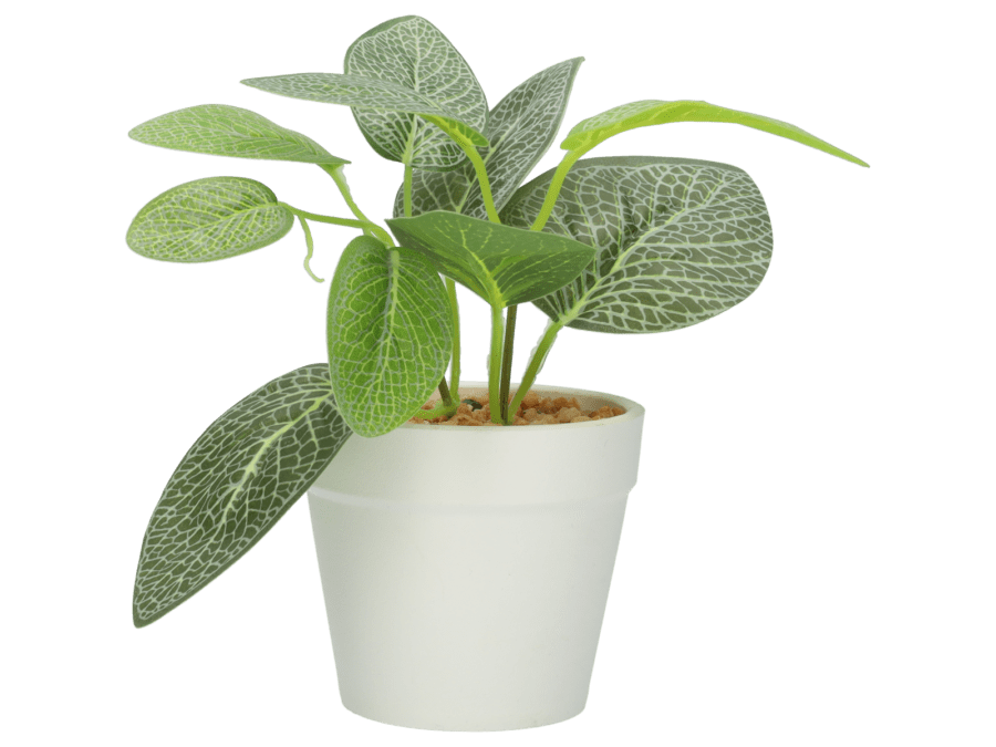 Plant pot 15cm – Variatie 1 - Wibra