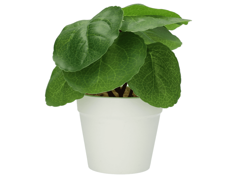 Plant pot 15cm – Variatie 2 - Wibra
