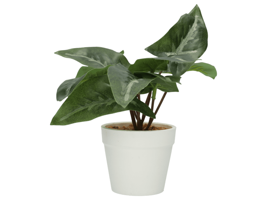 Plant pot 15cm – Variatie 3 - Wibra